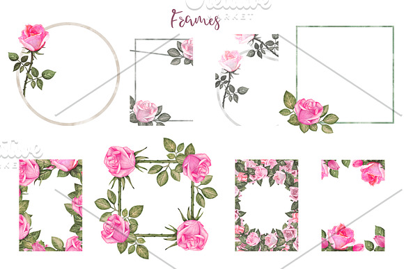 Watercolor Pink Roses in Illustrations - product preview 3