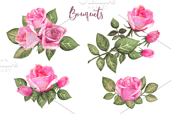 Watercolor Pink Roses in Illustrations - product preview 4