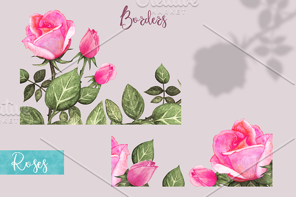 Watercolor Pink Roses in Illustrations - product preview 5