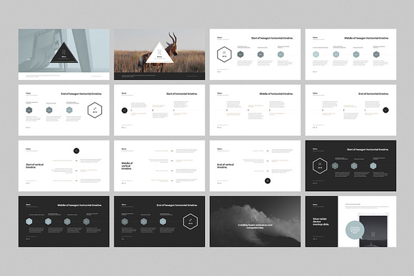 Rhino Keynote Presentation Template in Keynote Templates - product preview 6