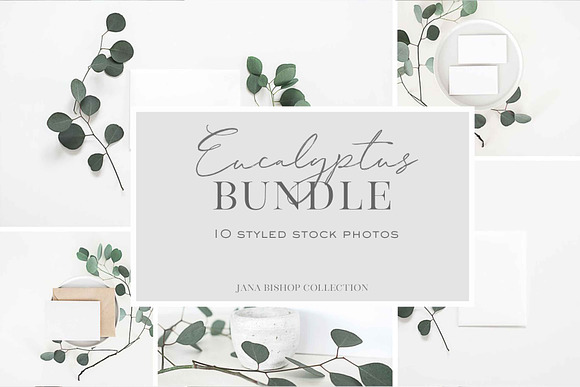 Stock Photos | Eucalyptus Bundle #2 in Product Mockups - product preview 3