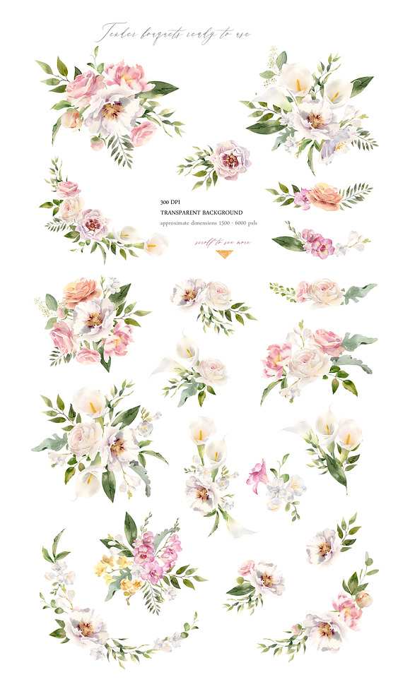 Exquisite Flora. Watercolor set. in Illustrations - product preview 3