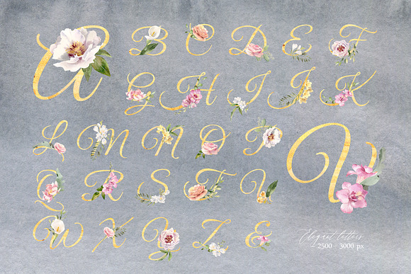 Exquisite Flora. Watercolor set. in Illustrations - product preview 5