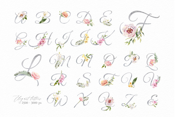 Exquisite Flora. Watercolor set. in Illustrations - product preview 7