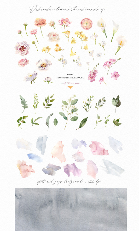 Exquisite Flora. Watercolor set. in Illustrations - product preview 9