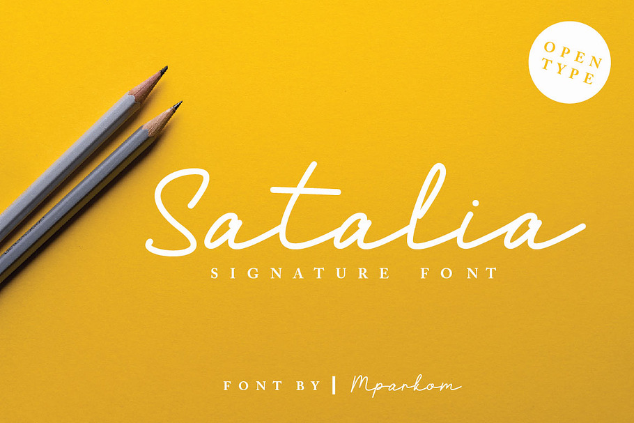 Satalia Signature in Fonts - product preview 8