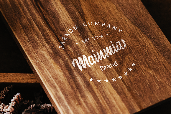 Mainmia Script in Script Fonts - product preview 4