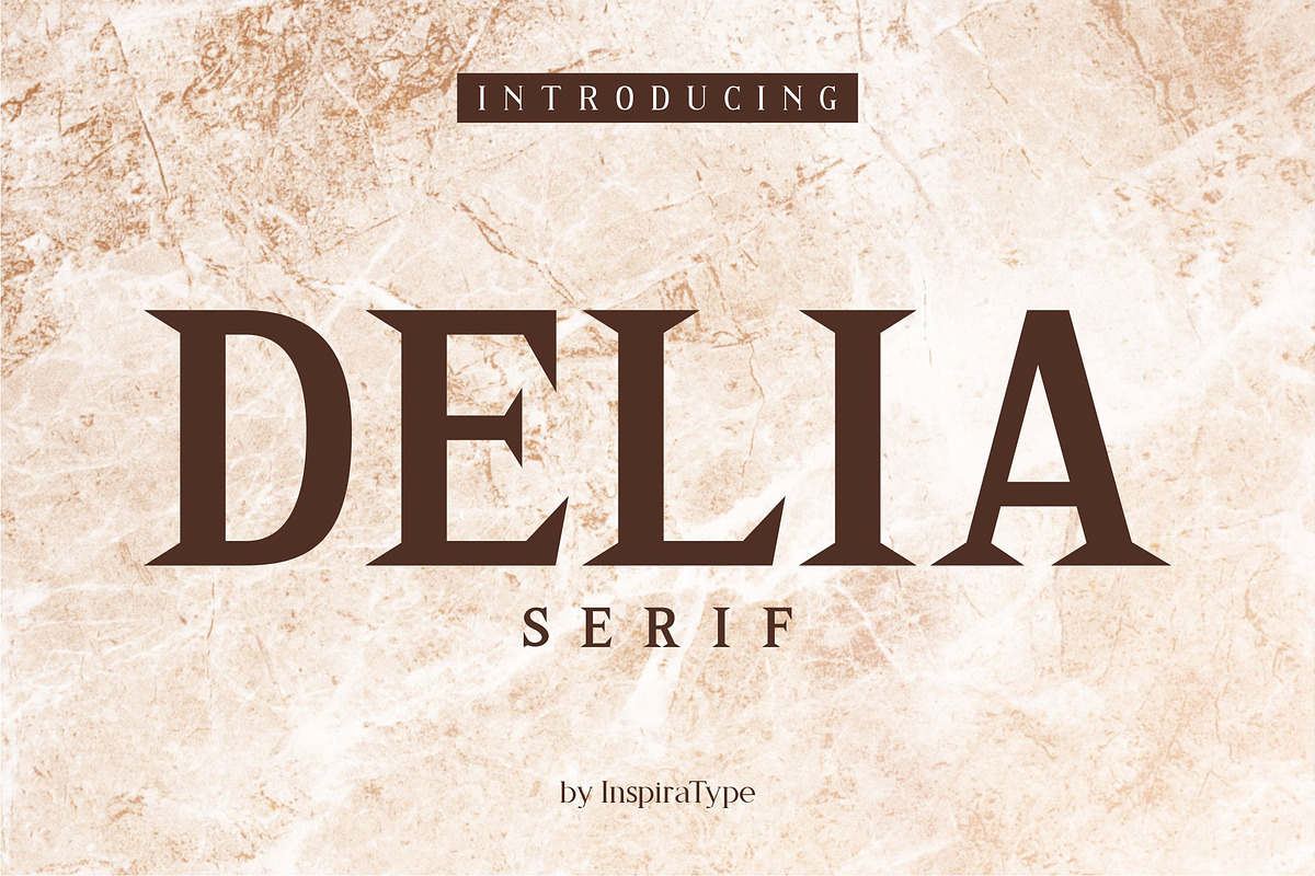 Delia - Regular & Bold Serif in Serif Fonts - product preview 8