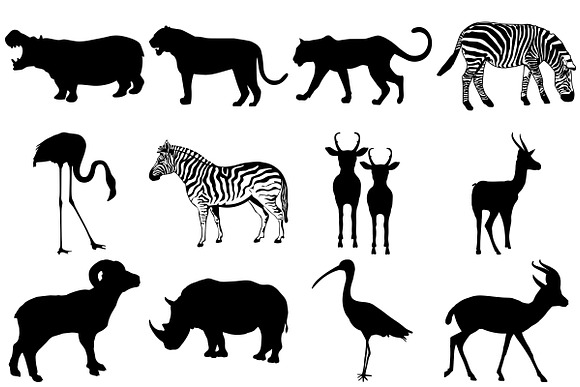 Wild/African Animal Silhouettes in Illustrations - product preview 2