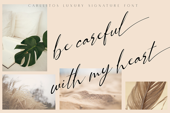 Carllitos // Luxury Signature Font in Script Fonts - product preview 2