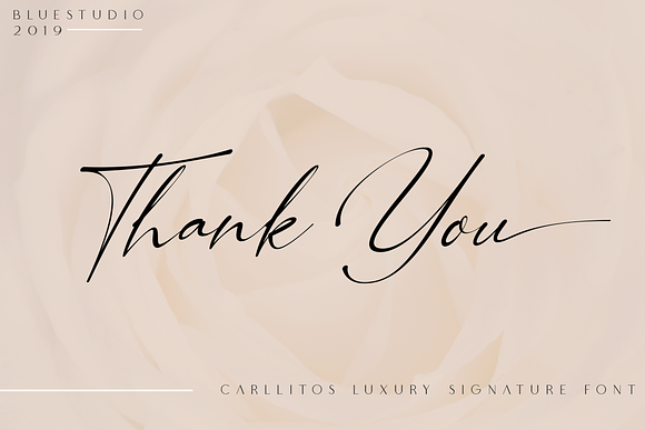 Carllitos // Luxury Signature Font in Script Fonts - product preview 11