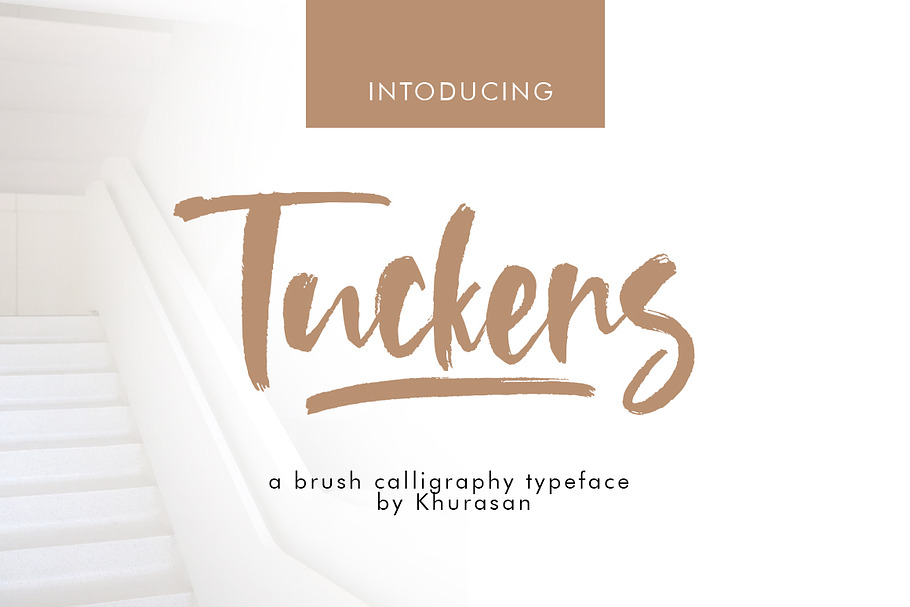Tuckers Brush Font in Script Fonts - product preview 8
