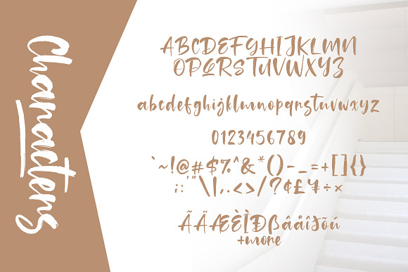Tuckers Brush Font in Script Fonts - product preview 6