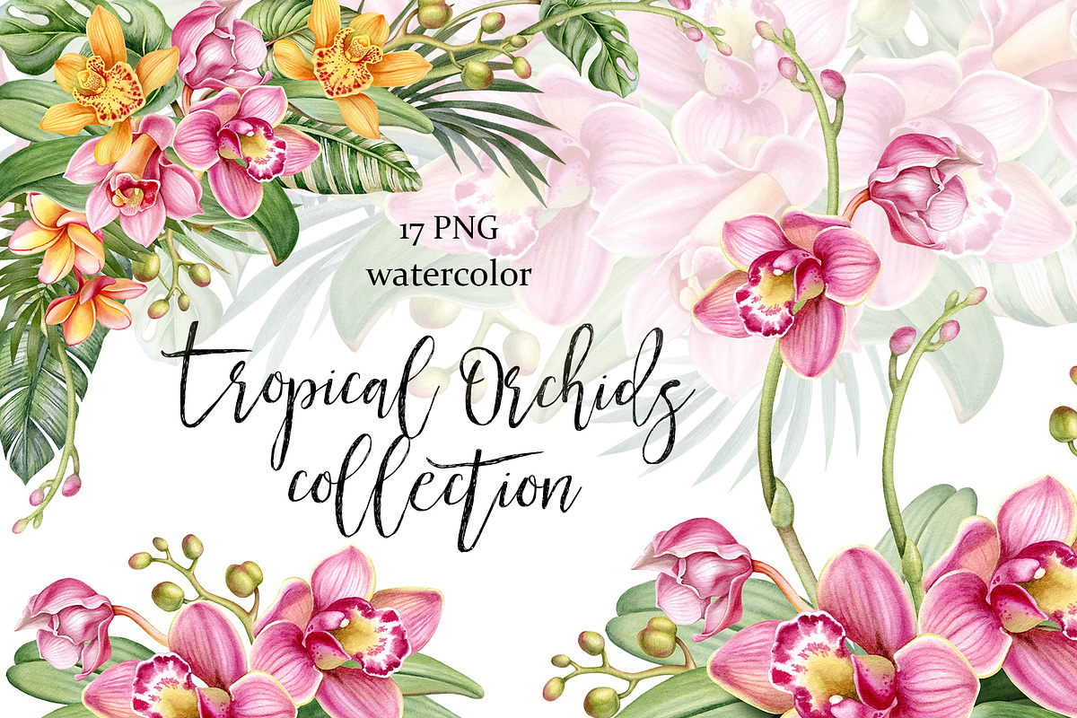 Watercolor tropical orchid flowers. in Illustrations - product preview 8