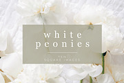 White Peonies Stock Photos for Insta