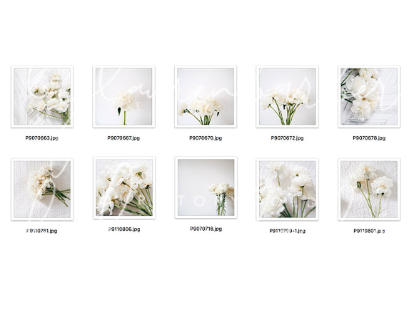 White Peonies Stock Photos for Insta in Instagram Templates - product preview 1