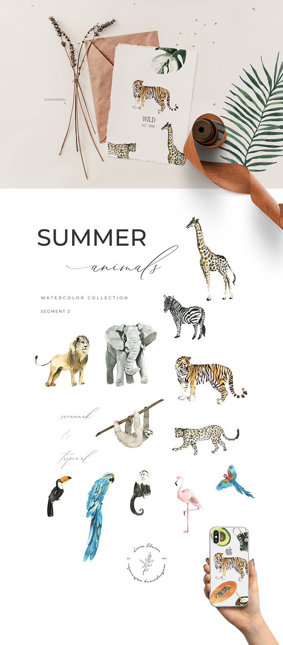 SUMMER AESTHETICS clipart + tropical in Illustrations - product preview 1