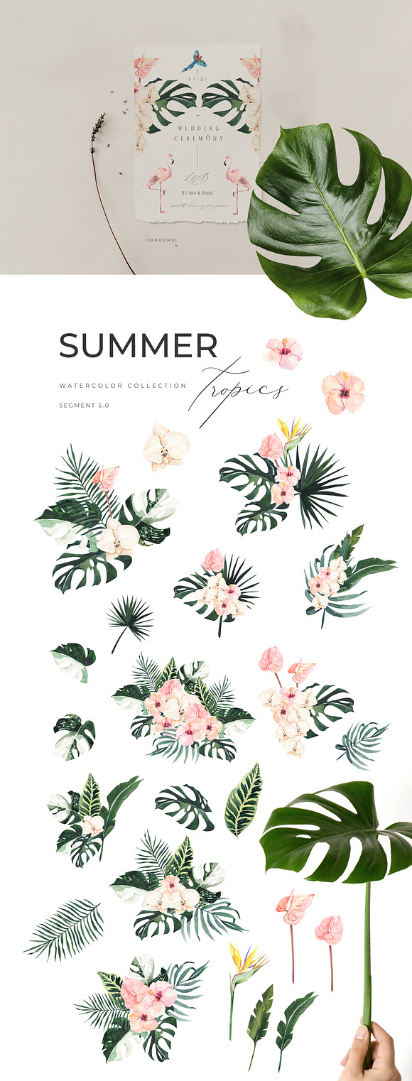 SUMMER AESTHETICS clipart + tropical in Illustrations - product preview 5