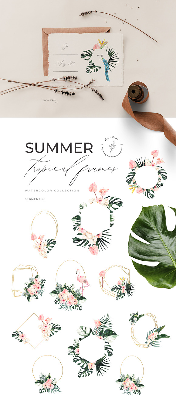 SUMMER AESTHETICS clipart + tropical in Illustrations - product preview 6