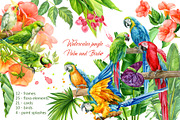 Watercolor jungle, palm and parrots