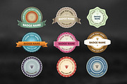 9 Vintage Vector Badges