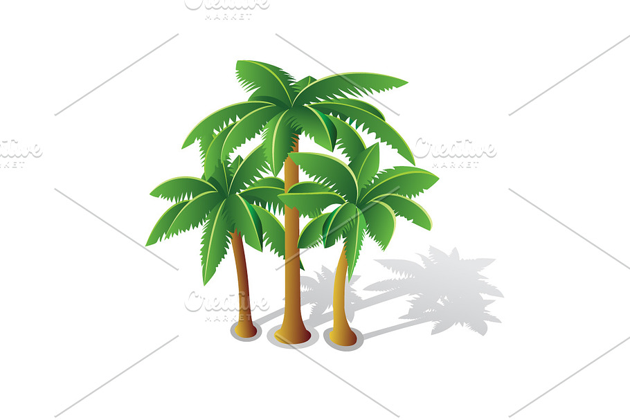 Tropical palms in Objects - product preview 8