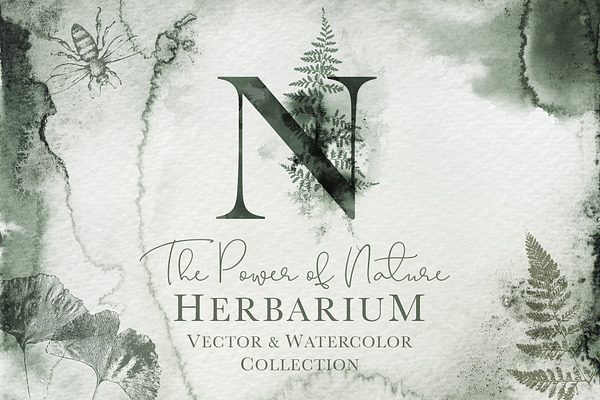 Herbarium: Design Set