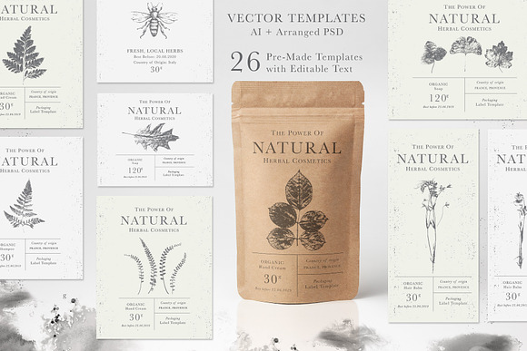 Herbarium: Design Set in Graphics - product preview 5