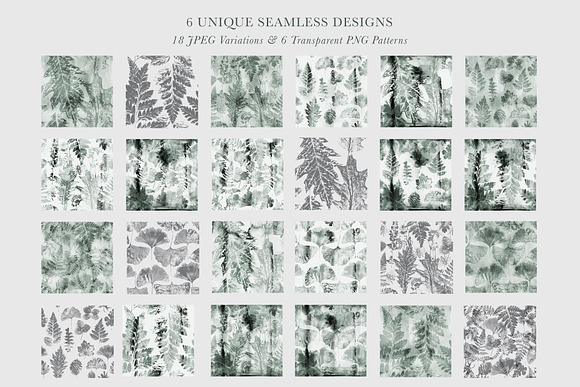 Herbarium: Design Set in Graphics - product preview 9