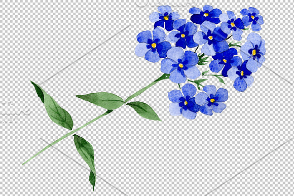 Phlox blue watercolor png in Illustrations - product preview 3