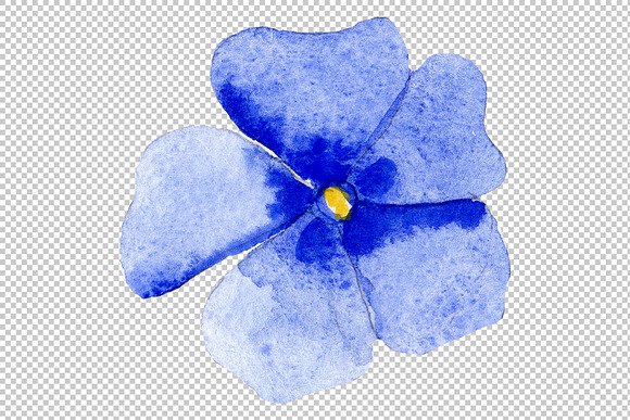 Phlox blue watercolor png in Illustrations - product preview 5