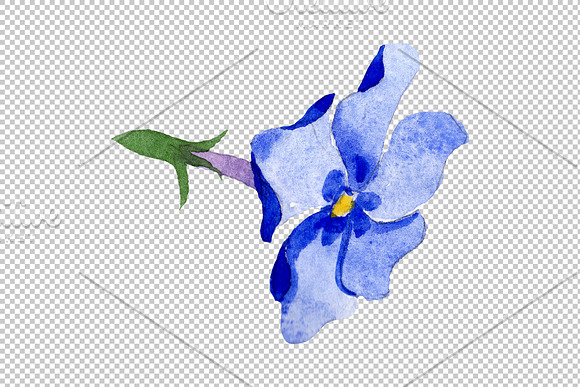 Phlox blue watercolor png in Illustrations - product preview 7