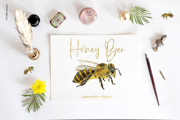 Honey Bee watercolor images in Illustrations - product preview 2