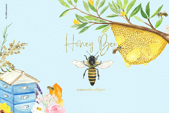 Honey Bee watercolor images in Illustrations - product preview 3