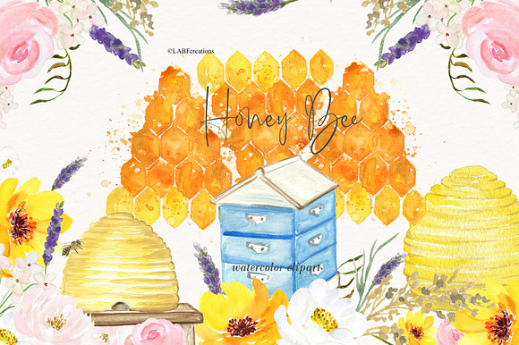 Honey Bee watercolor images in Illustrations - product preview 4
