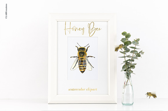 Honey Bee watercolor images in Illustrations - product preview 5
