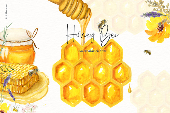 Honey Bee watercolor images in Illustrations - product preview 6