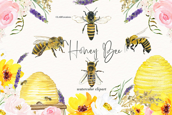 Honey Bee watercolor images in Illustrations - product preview 7