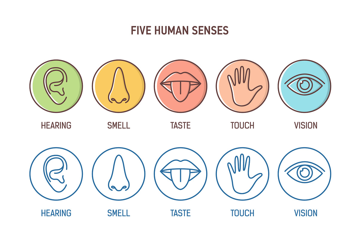 Five human senses in Icons - product preview 8