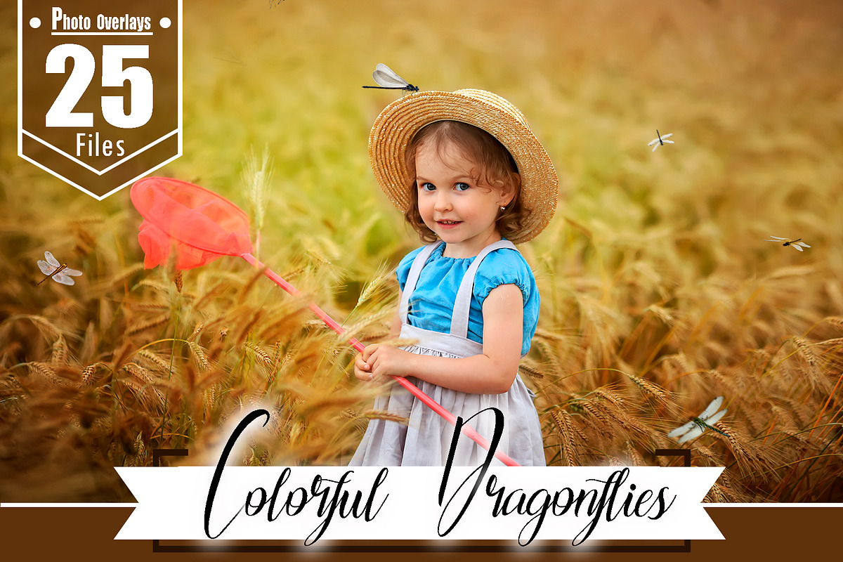 25 Dragonfly Photoshop overlays in Add-Ons - product preview 8