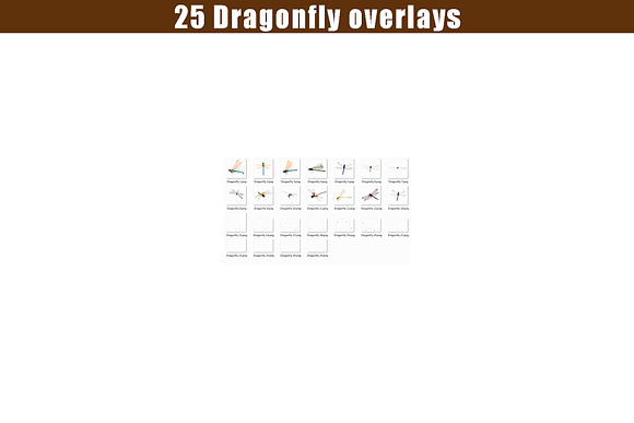 25 Dragonfly Photoshop overlays in Add-Ons - product preview 3