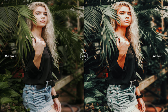 Avocado Lightroom Presets Collection in Add-Ons - product preview 3