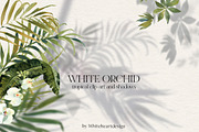 White Orchid Tropic Clipart & Shadow