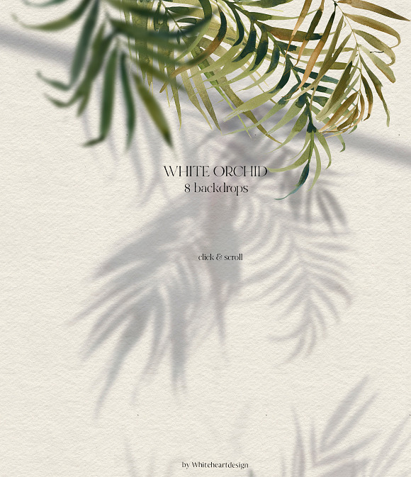 White Orchid Tropic Clipart & Shadow in Illustrations - product preview 1