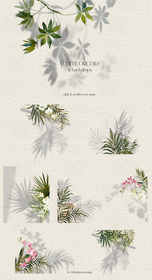 White Orchid Tropic Clipart & Shadow in Illustrations - product preview 2