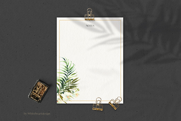 White Orchid Tropic Clipart & Shadow in Illustrations - product preview 7