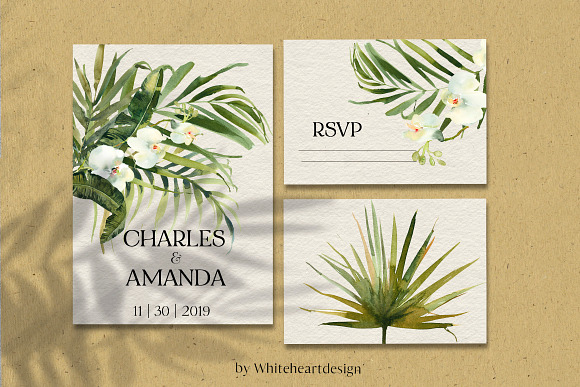 White Orchid Tropic Clipart & Shadow in Illustrations - product preview 12