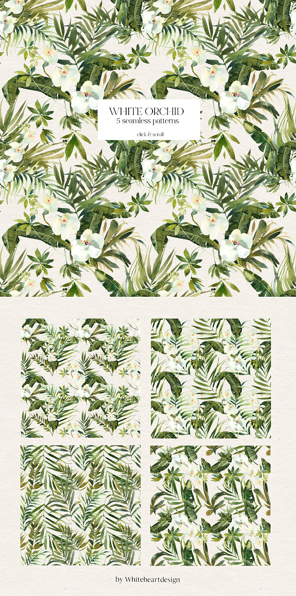 White Orchid Tropic Clipart & Shadow in Illustrations - product preview 14