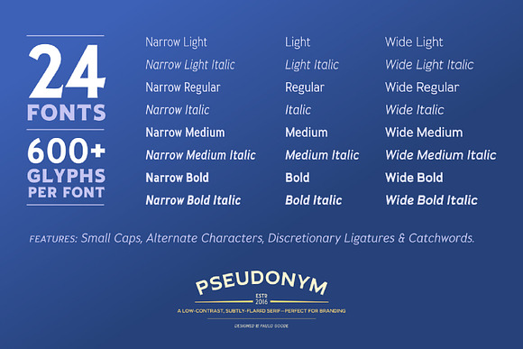 Pseudonym 24 Incised Serif Fonts in Serif Fonts - product preview 8