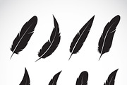 Vector group of black feather. Icon.